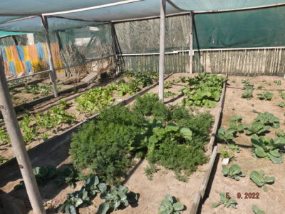 Agriculture