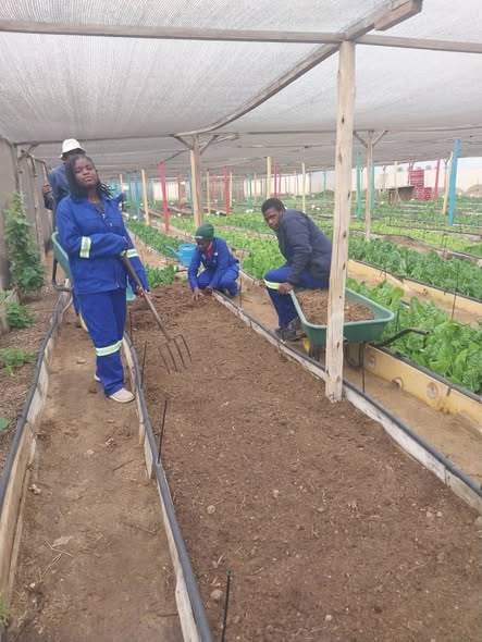 Pre-Vocational learners on job attachment